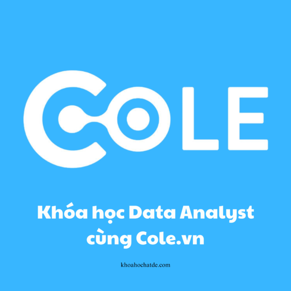 Khóa học Data Analyst