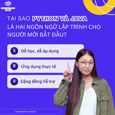 Khóa Học Introduction Python Java Engineer Pro
