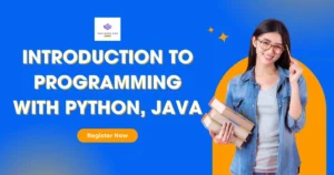 Khóa Học Introduction Python Java Engineer Pro