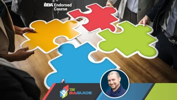 Business Analysis Fundamentals - IIBA endorsed